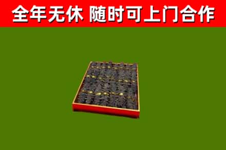 石楼县回收海参
